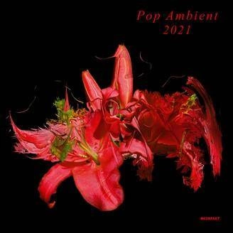 V/A Pop Ambient 2021 LP